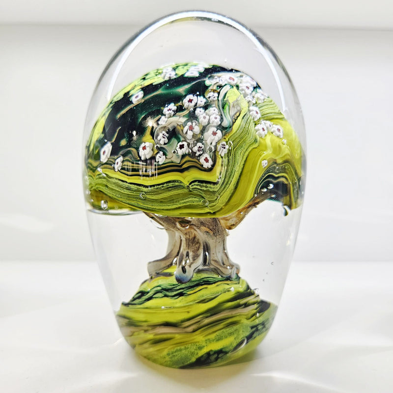 Manuka Tree Paperweight