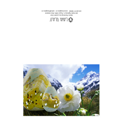 Alpine Greeting Card
