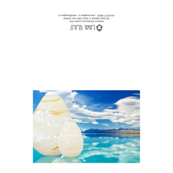 Aotearoa Greeting Card