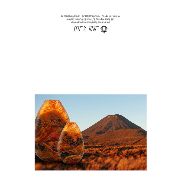 Desert Road Greeting Card
